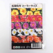 種子 松葉牡丹 ソーラーキッズMIX  【 約150粒／1袋売り】|種子