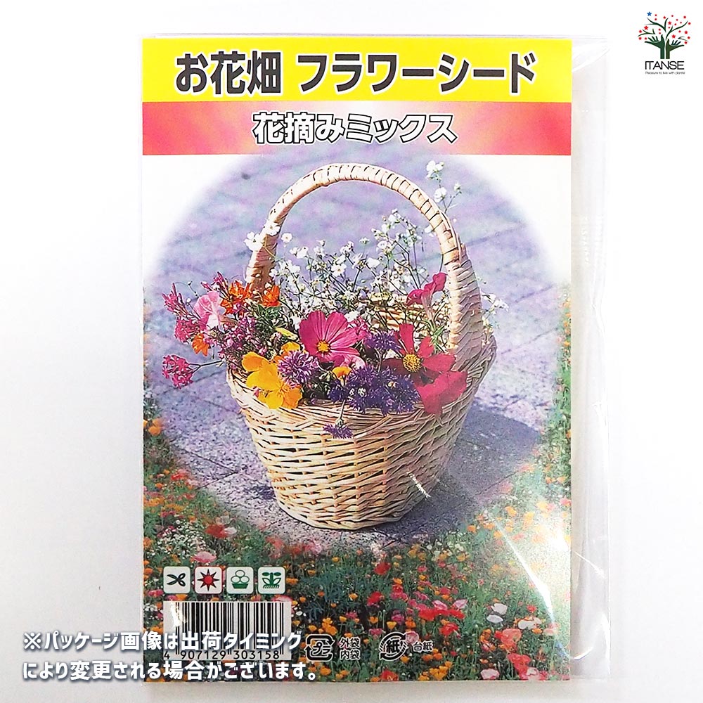 種子 お花畑フラワーシード 花摘みミックス 【 約5g／1袋売り