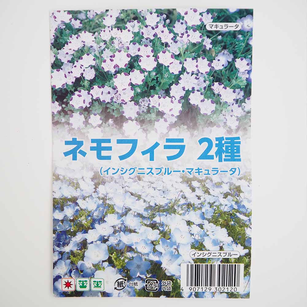 種子 ネモフィラ 【 各約50粒／1袋売り】｜ 【植物のITANSE
