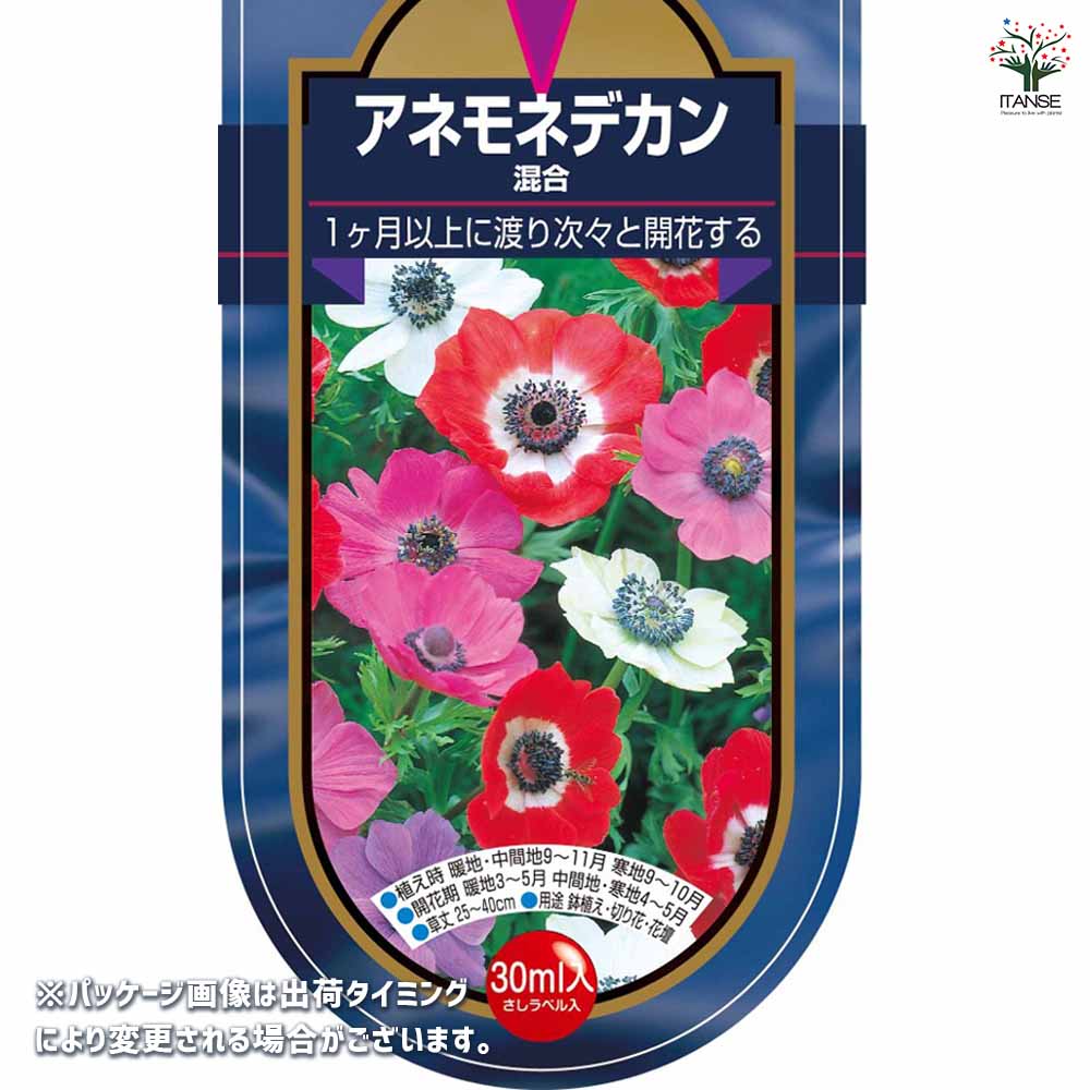 アネモネ デカン 混合 【花球根 30ML】｜ 【植物のITANSE】全品