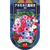 アネモネ 八重咲き 混合 【花球根 30ML】|球根類