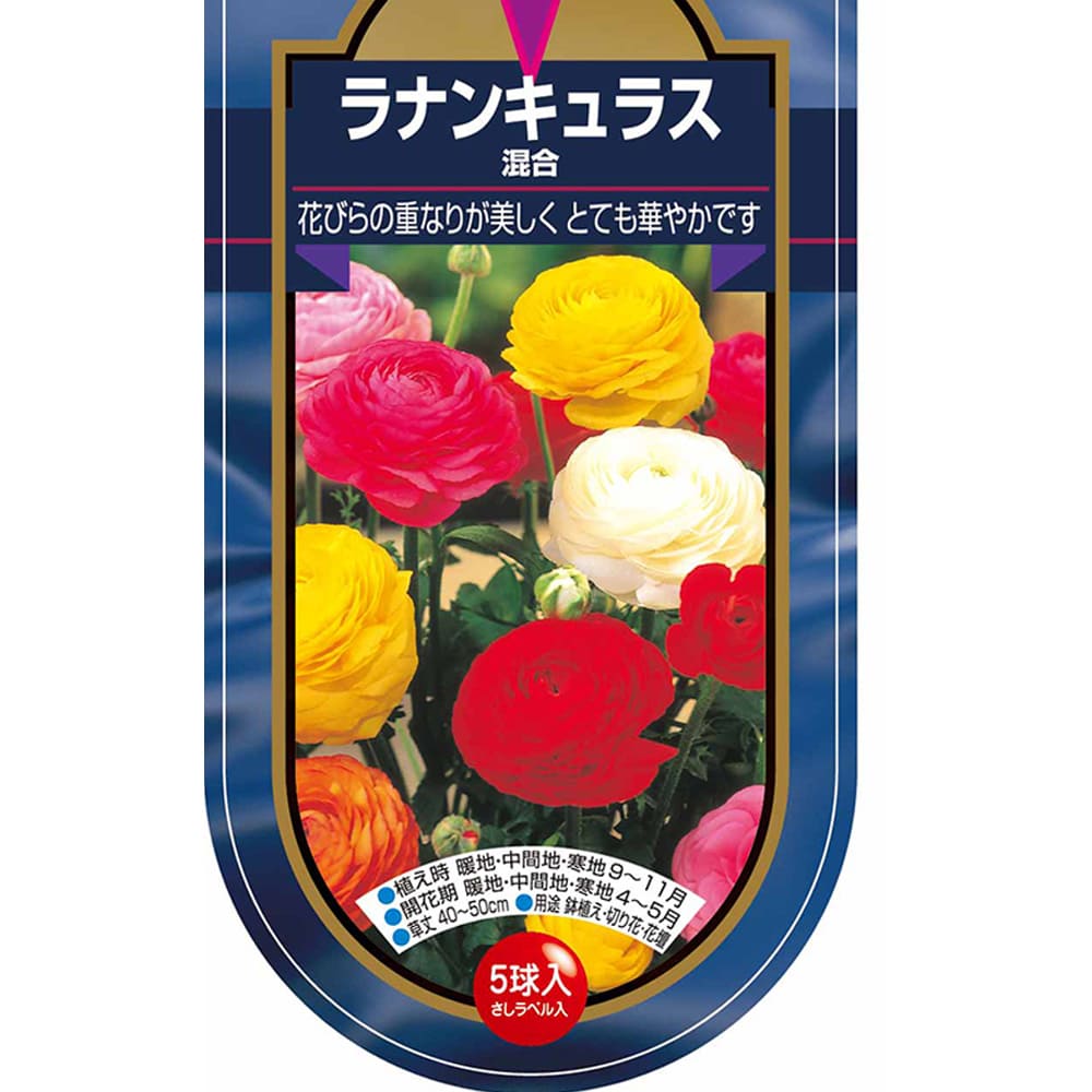 ラナンキュラス 混合 【花球根 5球】｜ 【植物のITANSE