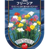 フリージア 八重 混合  【花球根 20球】|球根類