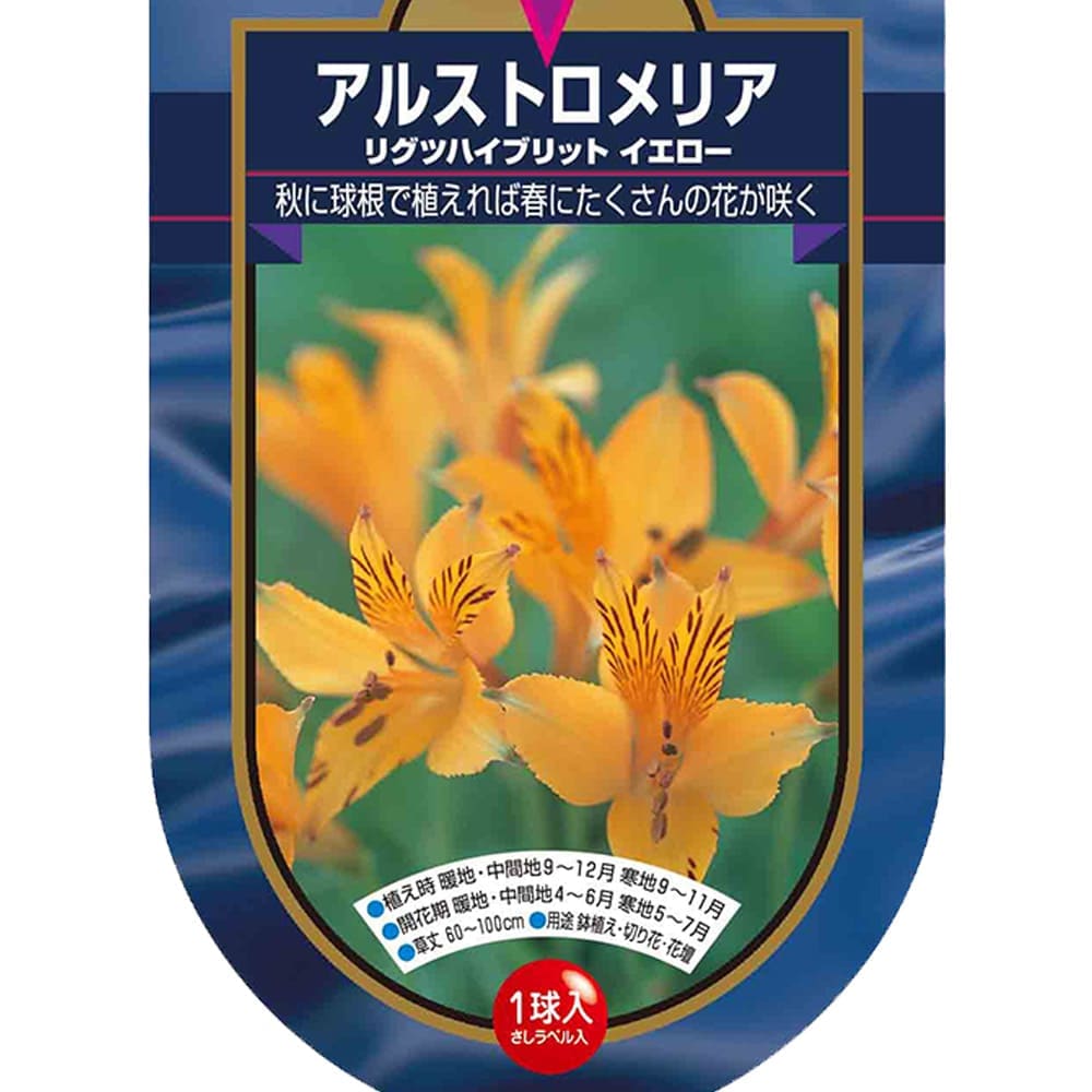 アルストロメリア リグツハイブリット イエロー 【花球根 1球