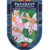 アルストロメリア リグツハイブリット ライトピンク 【花球根 1球】|球根類