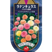 球根 ラナンキュラス パステル 混合 【花球根 3球】|花球根|球根類