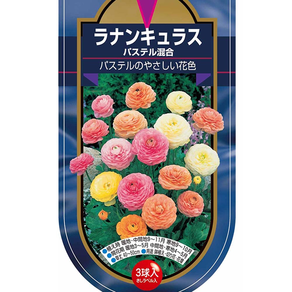 球根 ラナンキュラス パステル 混合 【花球根 3球】｜ 【植物の