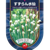 球根 水仙房咲き スズラン水仙 【花球根 2球】|花球根|球根類