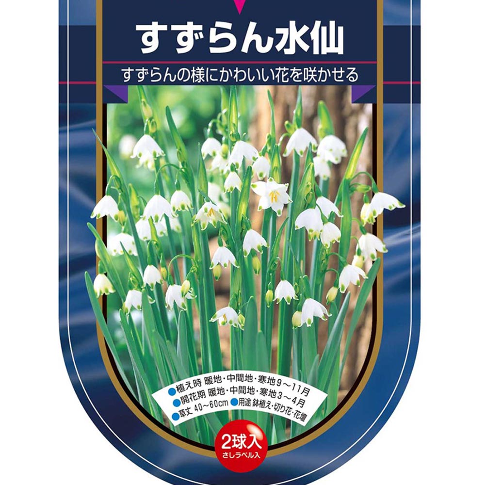 球根 水仙房咲き スズラン水仙 【花球根 2球】