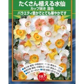 球根 たくさん植える水仙 カップ咲き 混合 【花球根 8球】|花球根|球根類