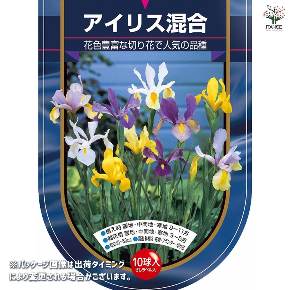 球根 アイリス 混合 【花球根 10球】｜ 【植物のITANSE】全品