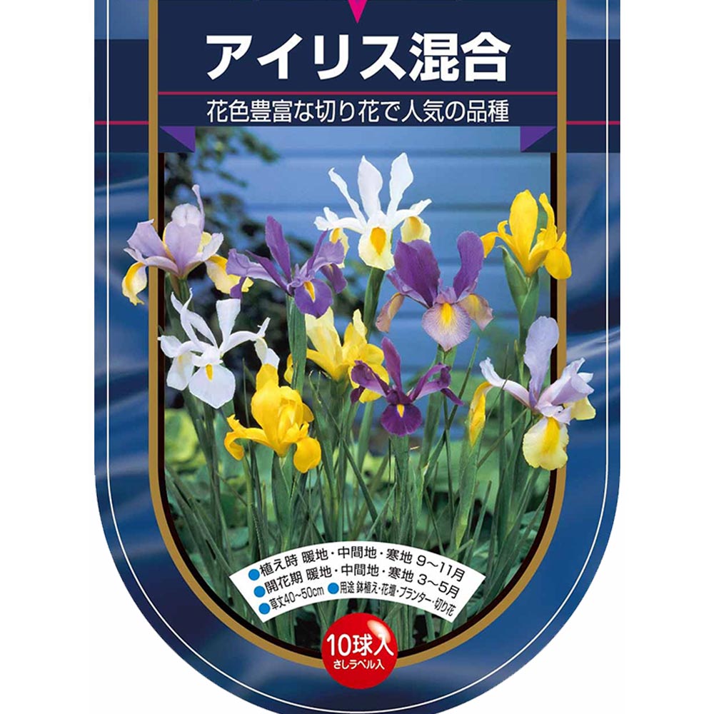 球根 アイリス 混合 【花球根 10球】
