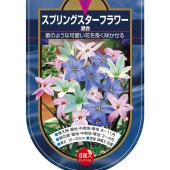 球根 スプリングスターフラワー 混合 【花球根 8球】|花球根|球根類