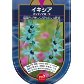 球根 イキシア ビリディフローラ 【花球根 2球】|花球根|球根類