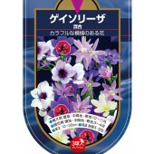 球根 ゲイソリーザ 混合 【花球根 3球】|花球根|球根類