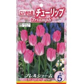 球根 チューリップ 二色咲き プレルジューム 【花球根 5球入】|花球根|球根類