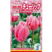 球根 チューリップ 二色咲き プリティプリンセス 【花球根 3球入】|花球根|球根類