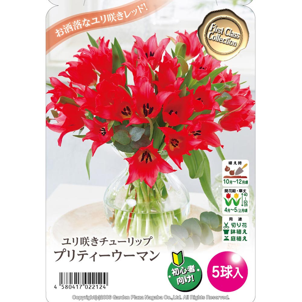 球根 ユリ咲きチューリップ プリティーウーマン 【花球根 5球】