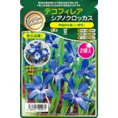 球根 テコフィレア シアノクロッカス 【花球根 2球】|花球根|球根類