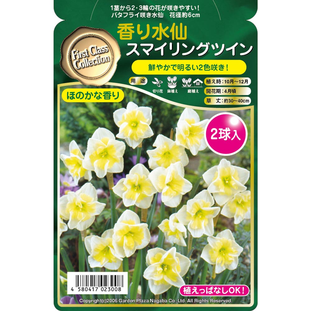 球根 香り水仙 スマイリングツイン 【花球根 2球】｜ 【植物の