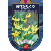 球根 カタクリ 黄花カタクリ 【花球根 2球】|花球根|球根類