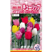 球根 一重咲きチューリップ混合 【花球根 15球入】|花球根|球根類