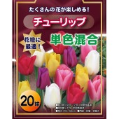 花球根 チューリップ 袋詰め 単色混合 【花球根 20球】|花球根|球根類