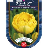 花球根 チューリップ 八重咲き イエローポンポネット 【花球根 4球】|花球根|球根類