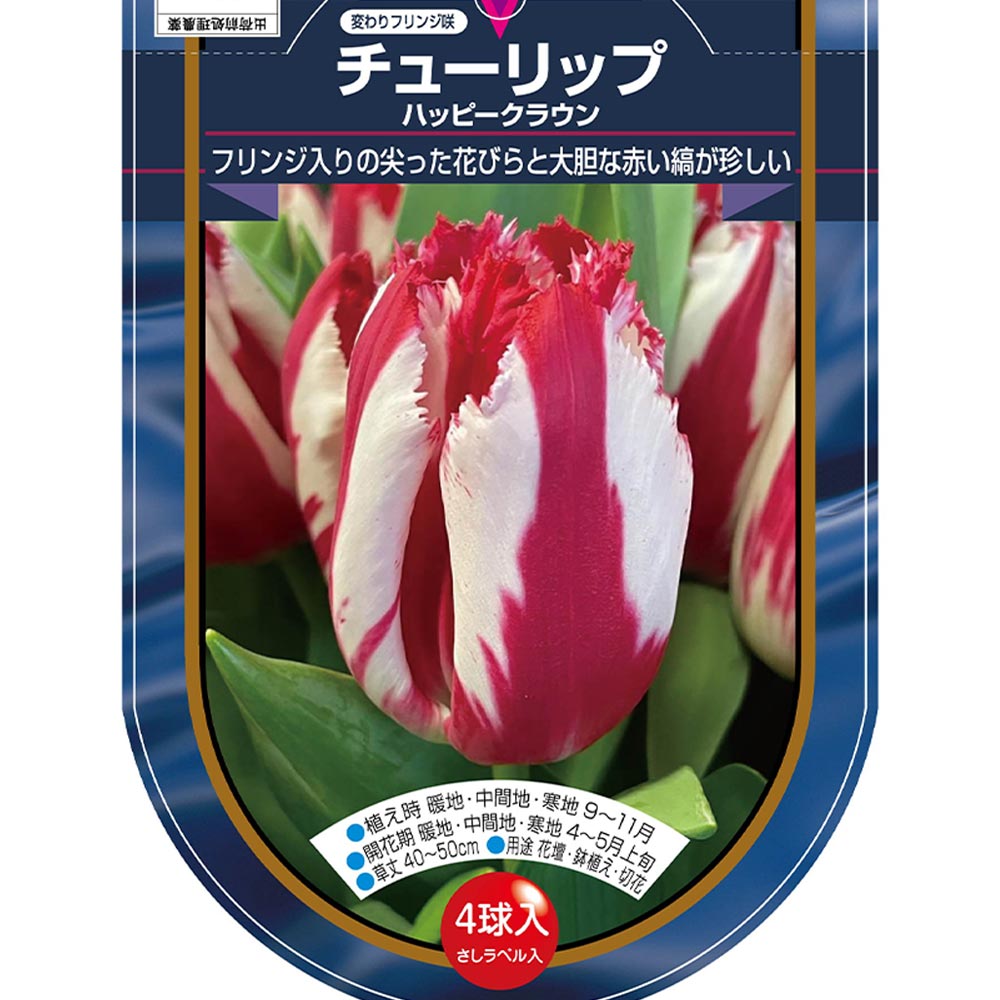 花球根 チューリップ フリンジ咲き ハッピークラウン 【花球根 4球