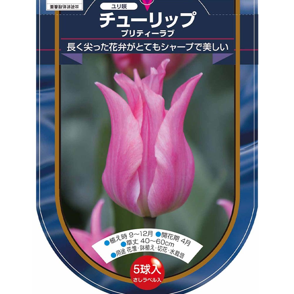 花球根 チューリップ 百合咲き プリティーラブ 【花球根 5球】