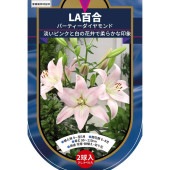 花球根 LA百合 パーティーダイヤモンド 【花球根 2球】|花球根|球根類