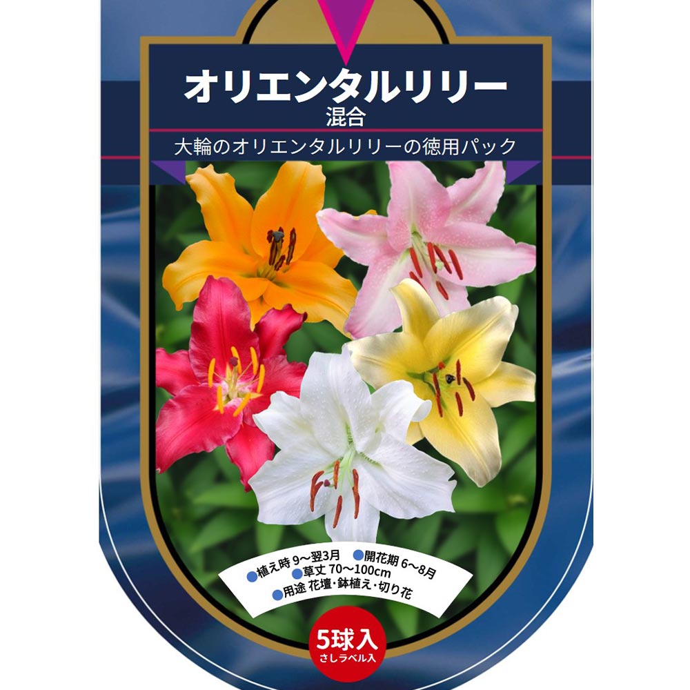 花球根 オリエンタルリリー 混合 【花球根 5球】