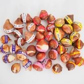 花球根 チューリップテープ巻 特大5個〜 【花球根 選べる花色】|花球根|球根類