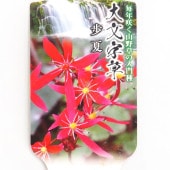 大文字草(ダイモンジソウ) 歩夏 【花苗 3号】|花苗