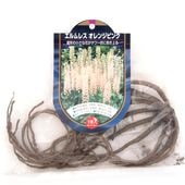 花球根 エルムレス (エレムルス) オレンジピンク 【花球根 1球】|花球根|球根類