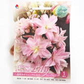 花球根 ブーケリリー ウェーブライダー 【花球根 1球】|花球根|球根類