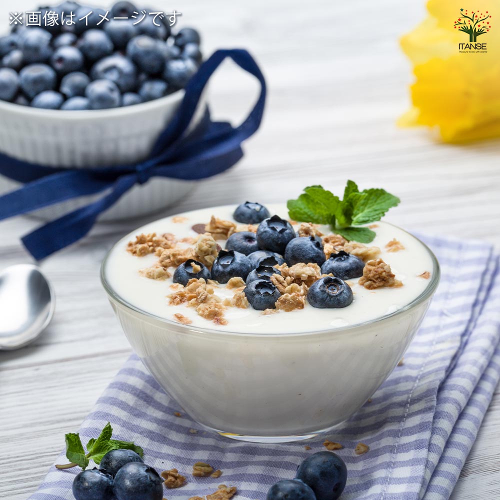 ブルーベリー ブルーシャワー 【果樹の苗 3.5号】｜ 【植物の