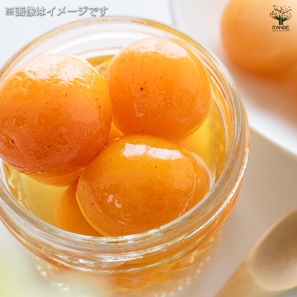 金柑の苗木 久留米 あかまる 【果樹の苗木 4号／1個売り】｜ 【植物の