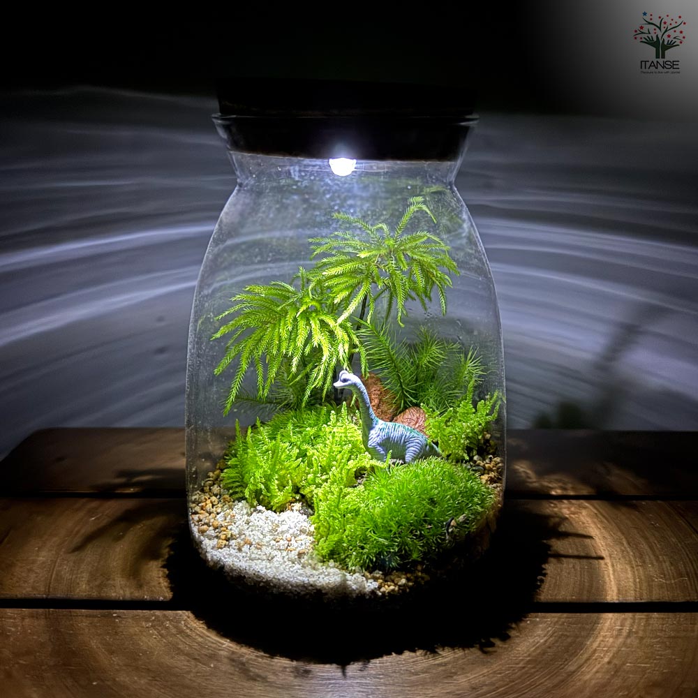 苔テラリウム 4～5種寄せ植え LED付き 恐竜 【観葉植物 ／1個売り