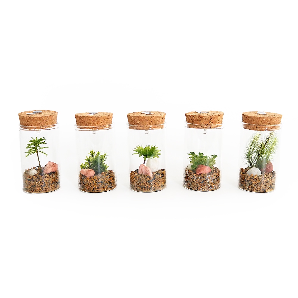 苔テラリウム ミニ LED付き 石 【観葉植物 】