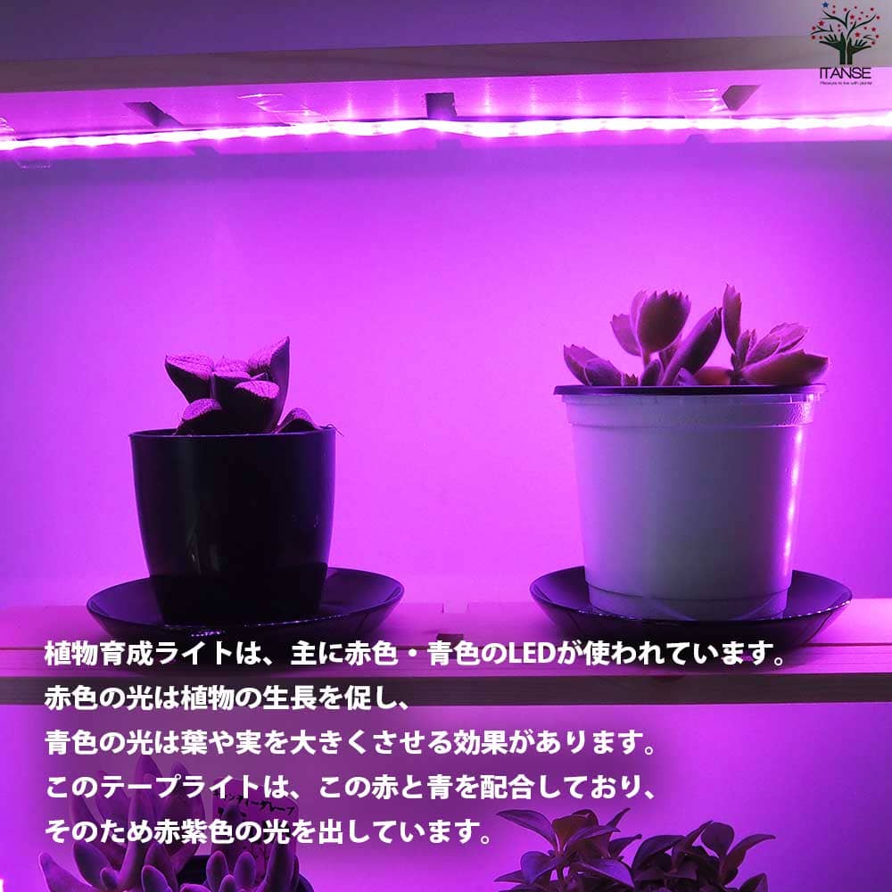 の*ん様 植物育成用LEDライト 3個セット 植物育成ライト 3