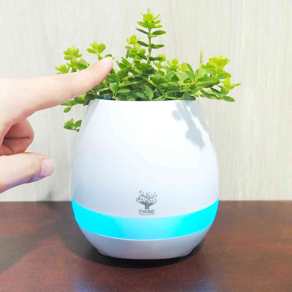 ミニ観葉見計＆スマートフラワーポット ホワイト 【育成グッズ 】
