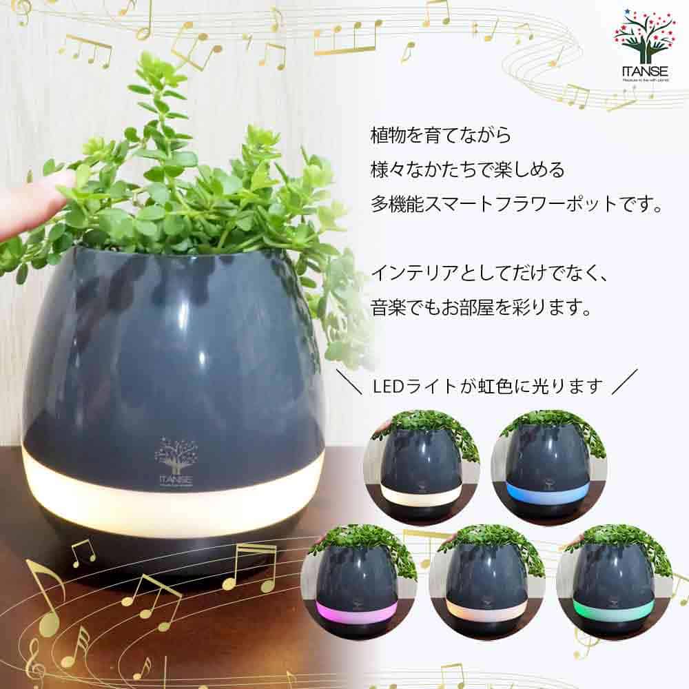 ミニ観葉見計＆スマートフラワーポット ブラック 【育成グッズ