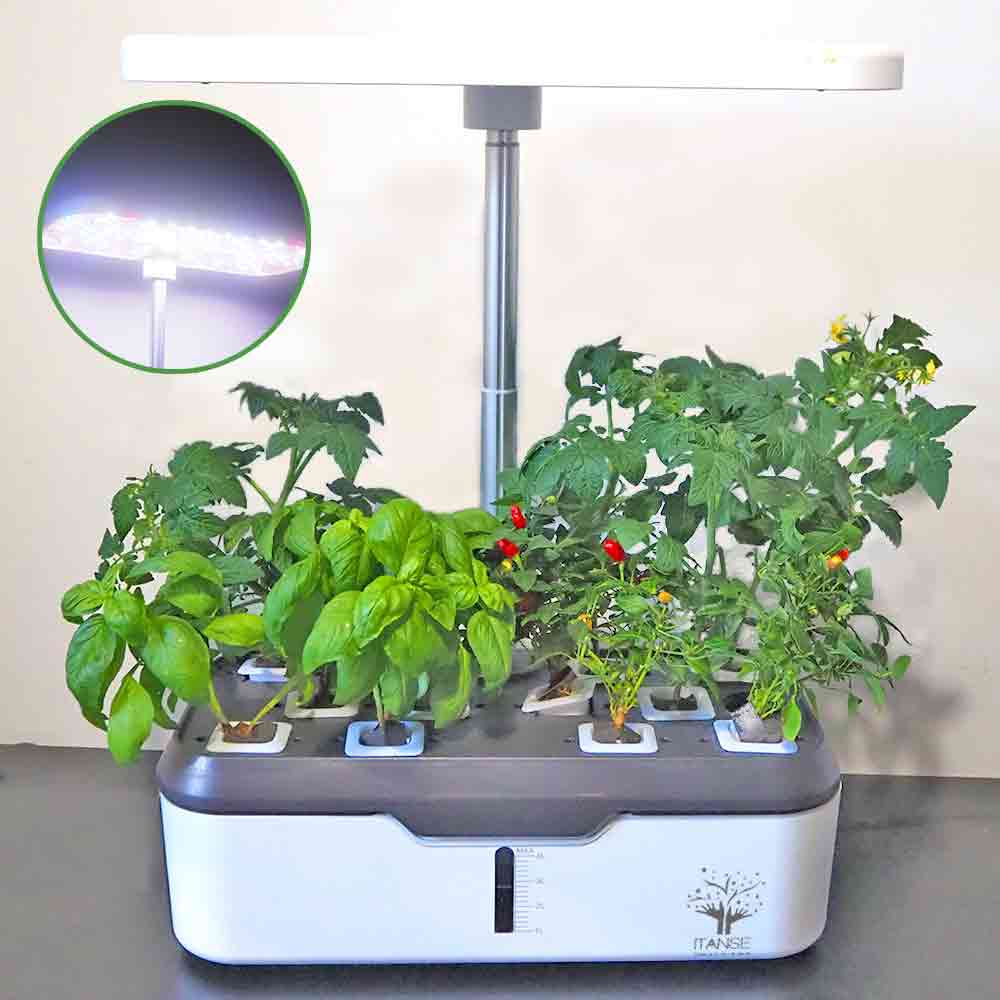 水耕栽培スマートプランターライト付 種子Cセット 【栽培キット】