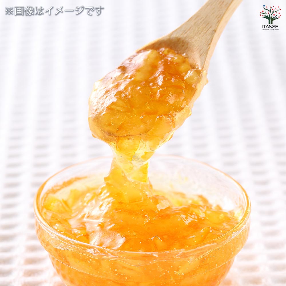 ハイブリット柑橘の苗 津之輝 【果樹の苗木 4号／1個売り】｜ 【植物の