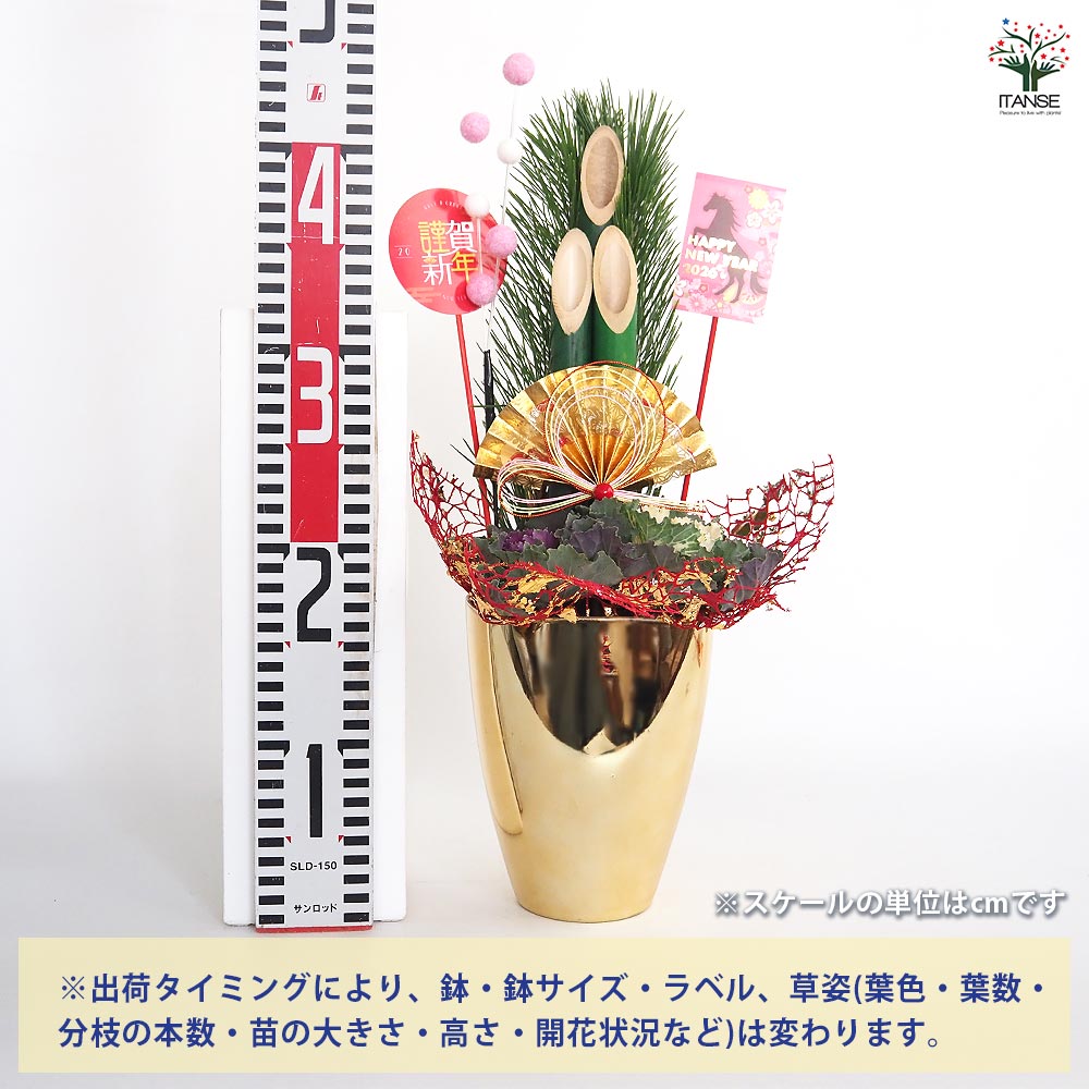 門松(かどまつ) ミニ門松 ゴールド鉢 【正月飾り 5号】｜ 【植物の