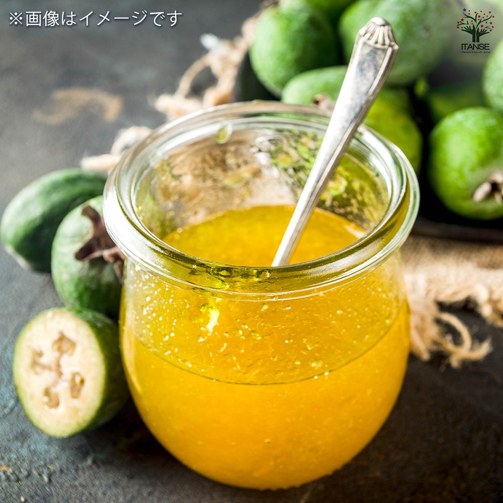 フェイジョア 【果樹の苗 3.5号】｜ 【植物のITANSE】全品送料