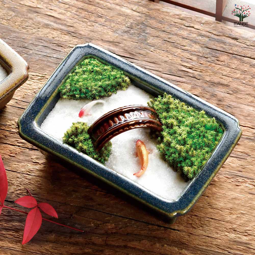 栽培セット 禅庭 ZEN GARDEN｜ 【植物のITANSE】全品送料無料