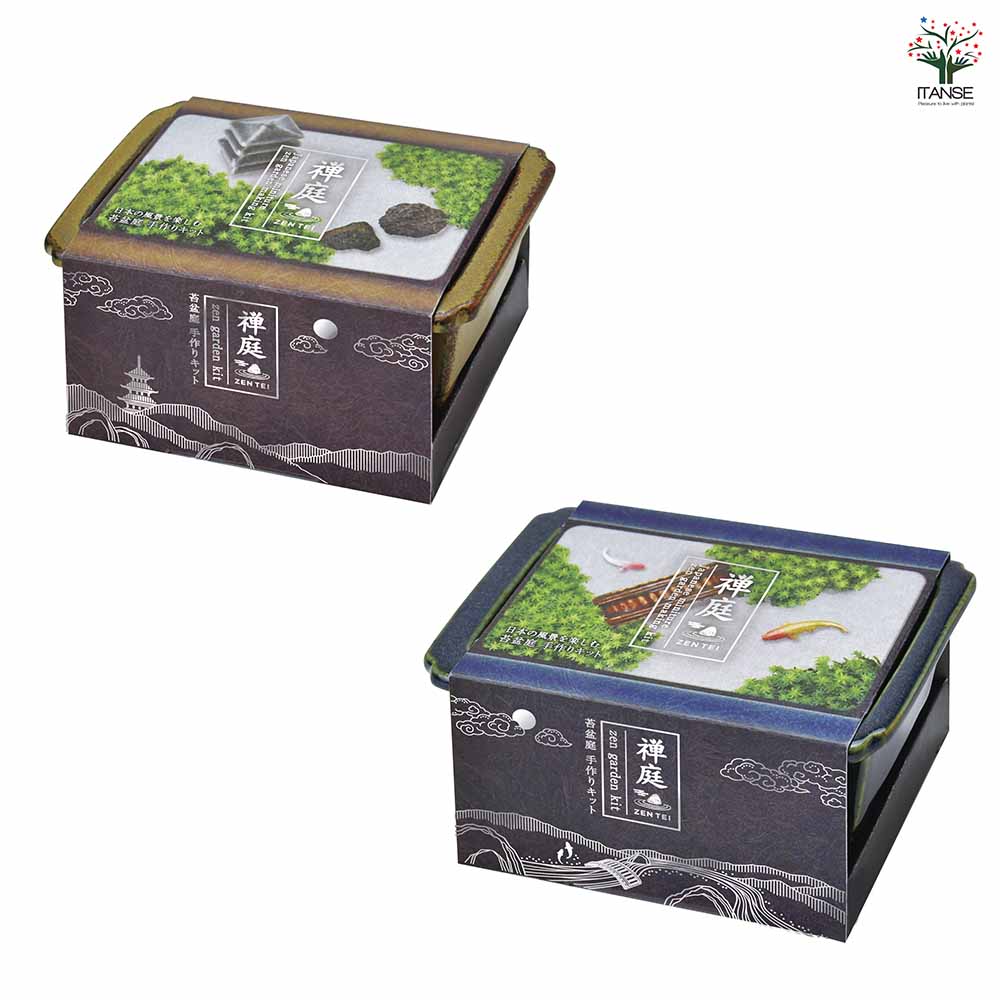 栽培セット 禅庭 ZEN GARDEN｜ 【植物のITANSE】全品送料無料