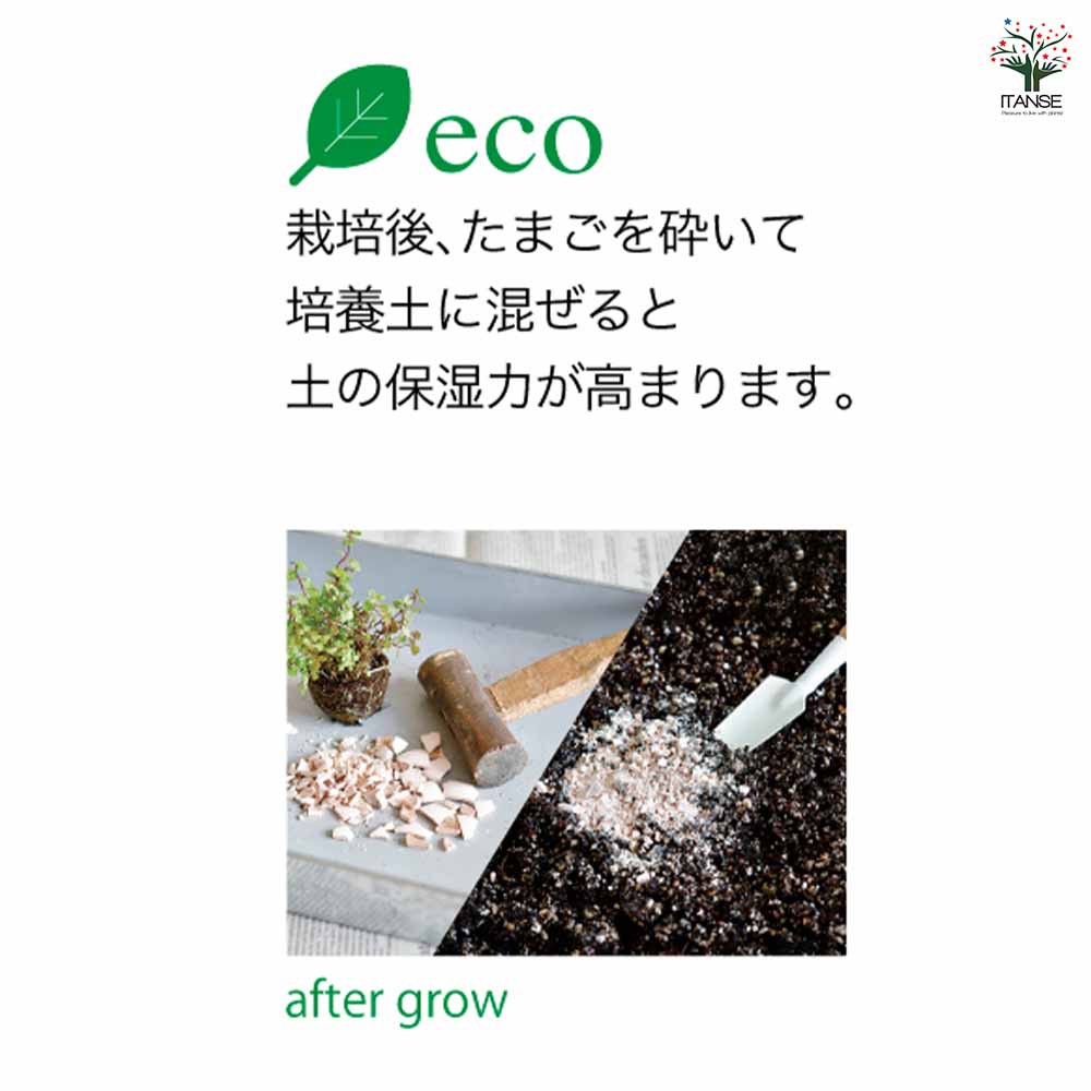 追加商品画像